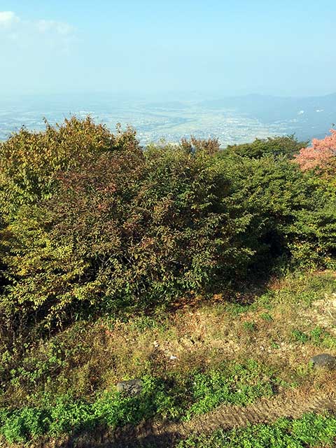 登山部募集中w